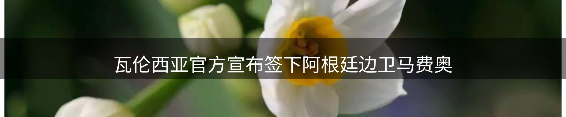 今日资讯
