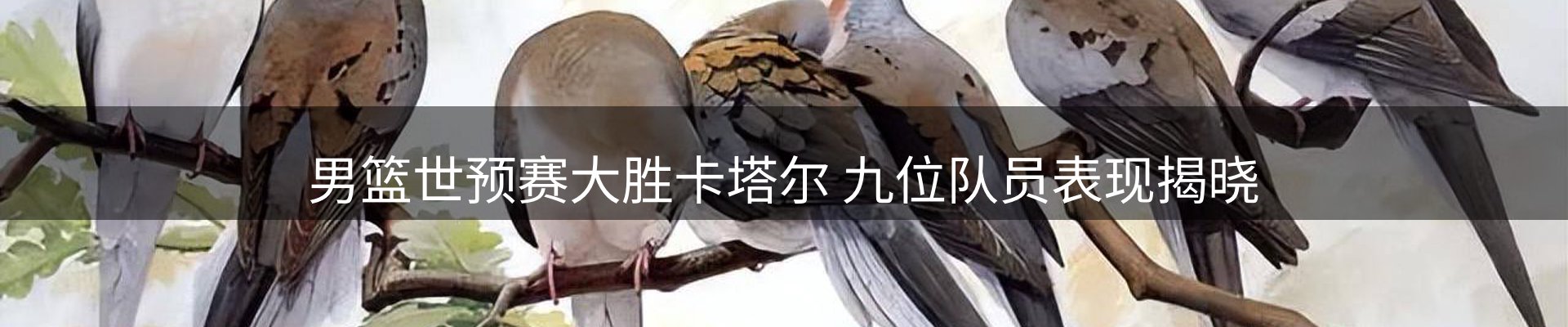 企业新闻